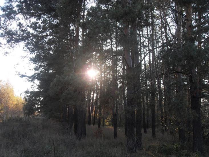 Заудайка з panoramio.com - Заудайка