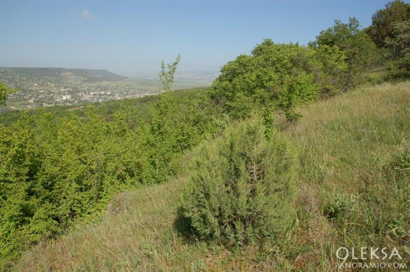 Долинне з panoramio.com - Dolynne