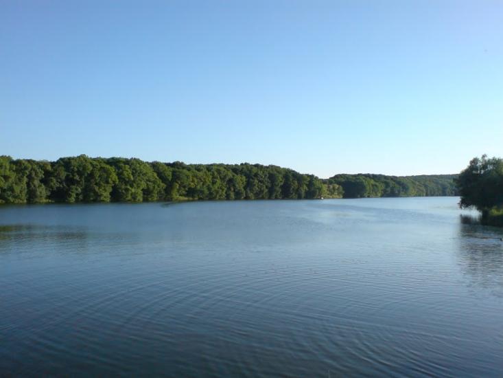 Комісарівка з panoramio.com - Комиссаровка