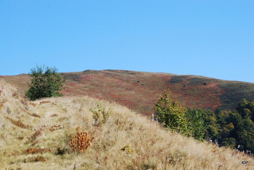 Вовчий з panoramio.com - Волчий