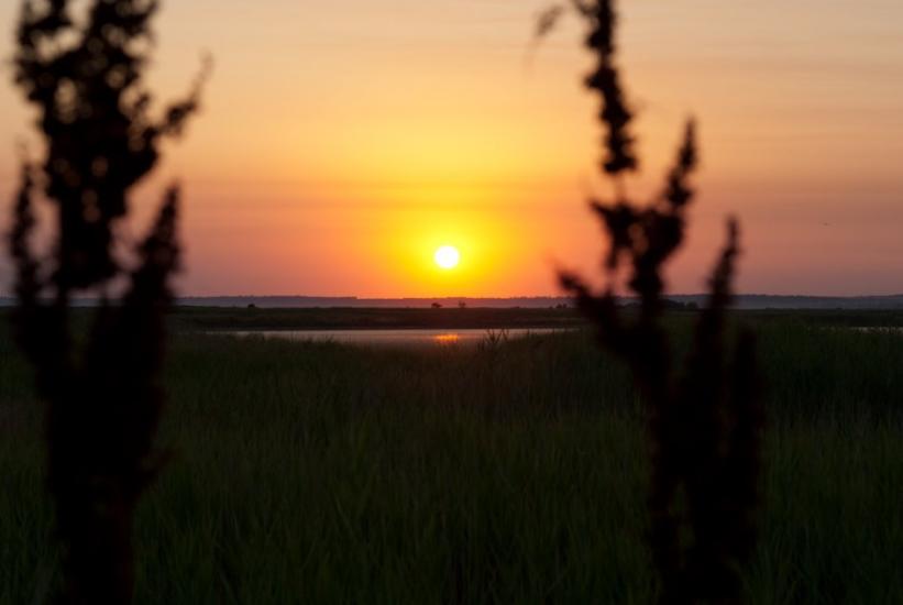 Мелекине з panoramio.com - Мелекино