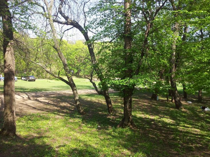 Провалля з panoramio.com - Provallya