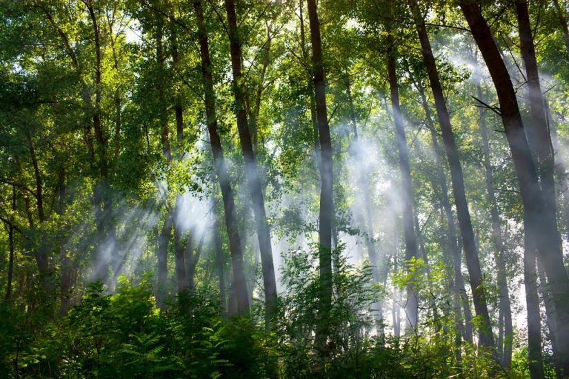 Брусилів з panoramio.com - Брусилів