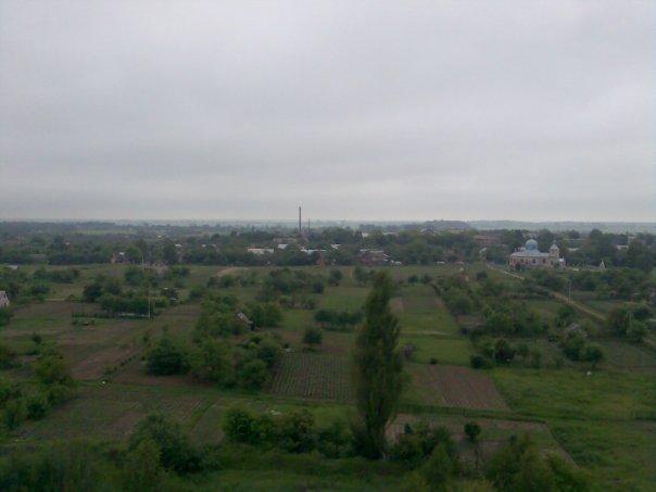 Грибовиця з panoramio.com - Грибовиця