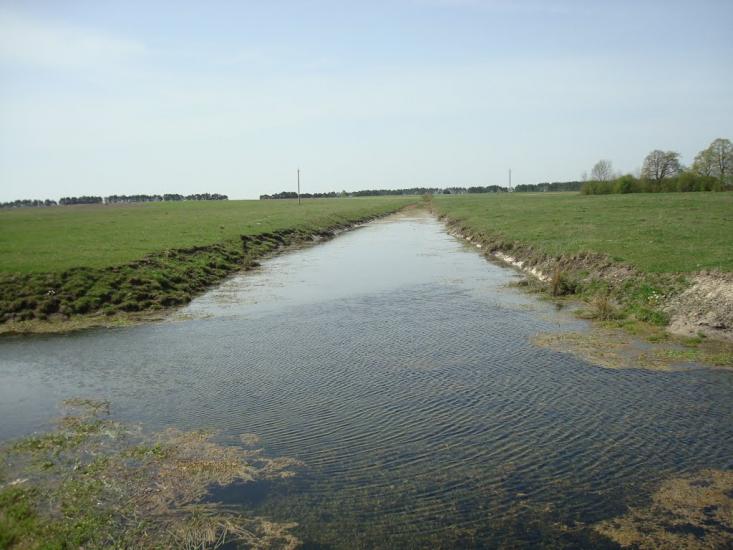Дроздні з panoramio.com - Дроздні