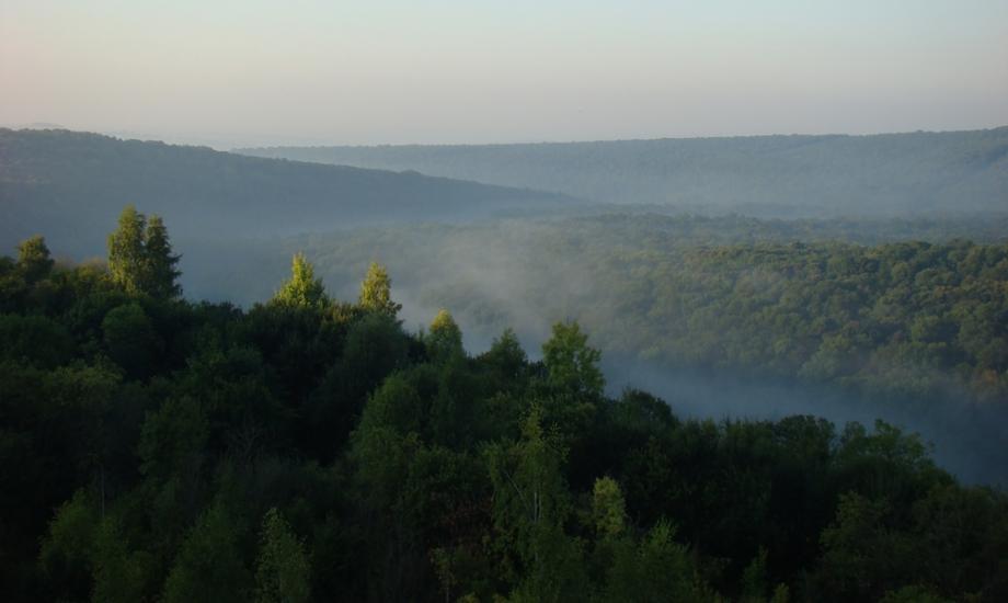 Іванківці з panoramio.com - Ivankivtsi