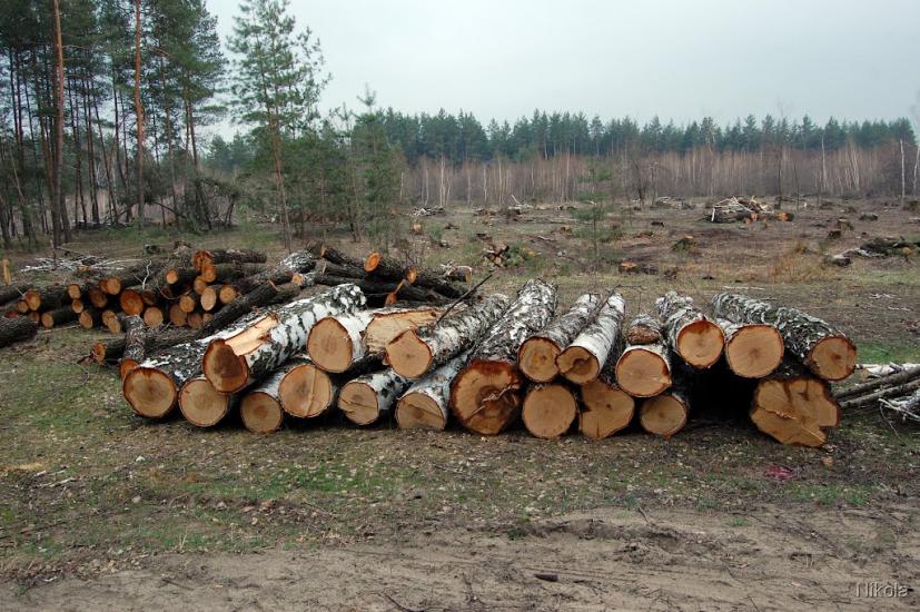 Метьолкіне з panoramio.com - Метелкино