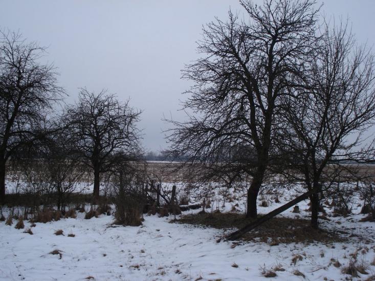 Ниговищі з panoramio.com - Ниговищі