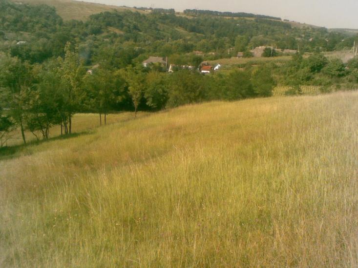 Грабарівка з panoramio.com - Грабарівка