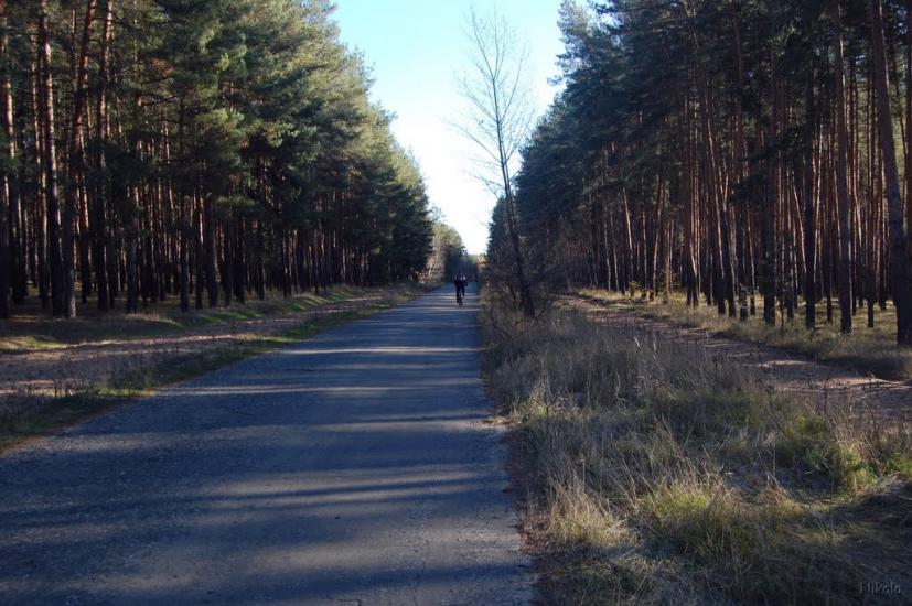 Осколонівка з panoramio.com - Осколонівка