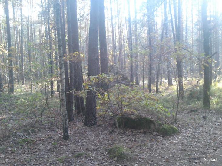 Замисловичі з panoramio.com - Замисловичі