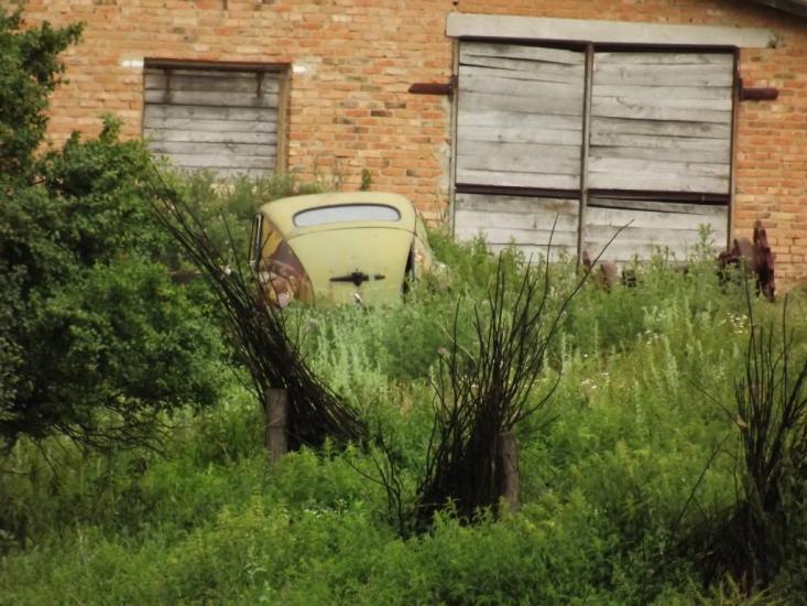 Кузьминці з panoramio.com - Кузьминцы