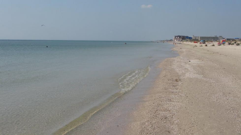 Степанівка Перша з panoramio.com - Степанівка Перша