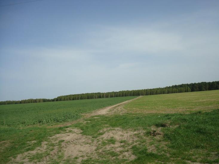 Вівчицьк з panoramio.com - Вівчицьк