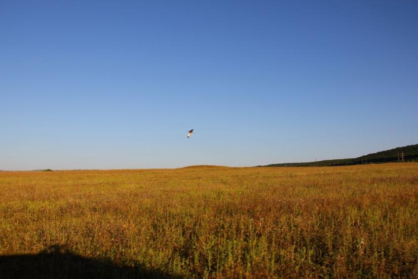 Строгонівка з panoramio.com - Строгонівка