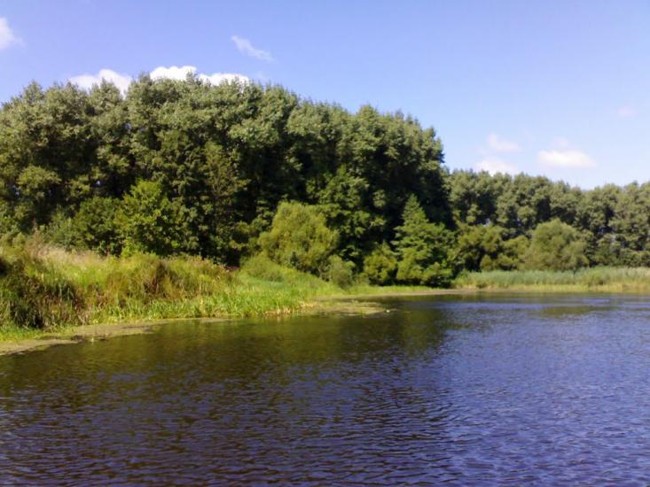 Жовідь з panoramio.com - Жовідь