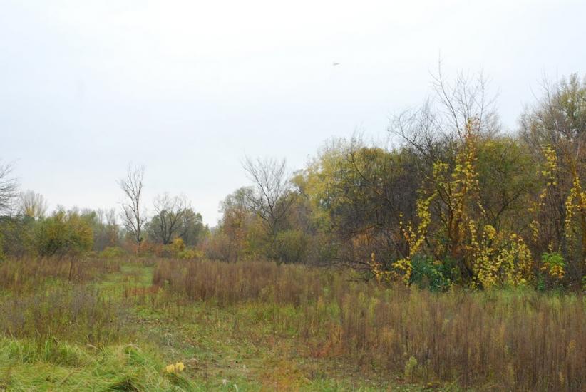 Макошине з panoramio.com - Макошино