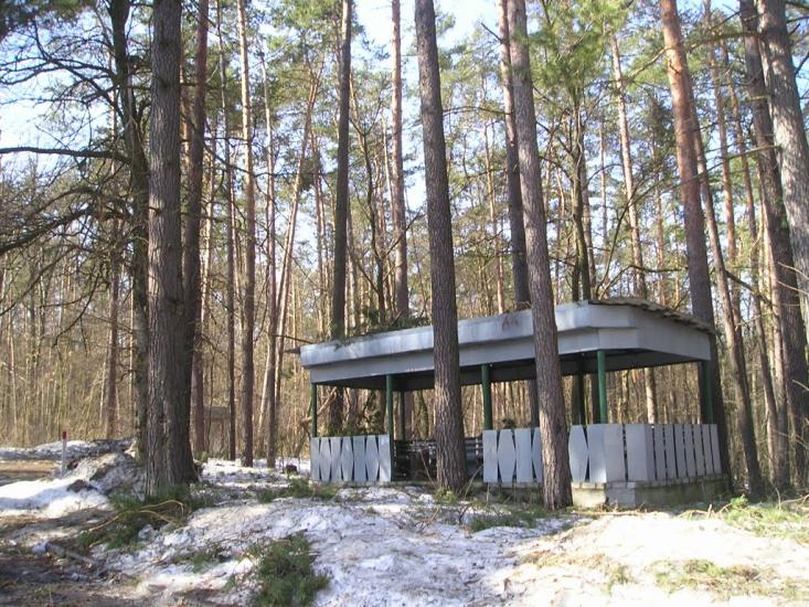 Проліски з panoramio.com - Пролески