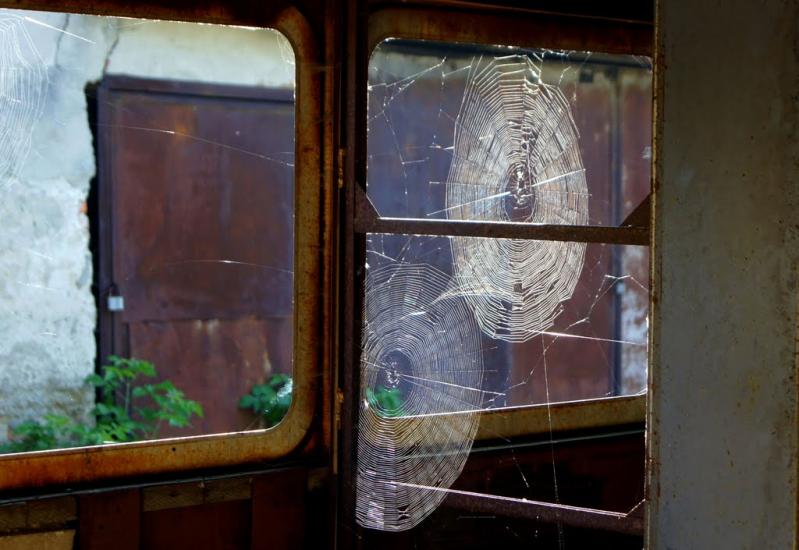 Великі Бірки з panoramio.com - Великие Борки