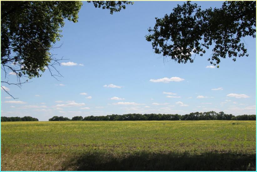 Масківці з panoramio.com - Масковцы