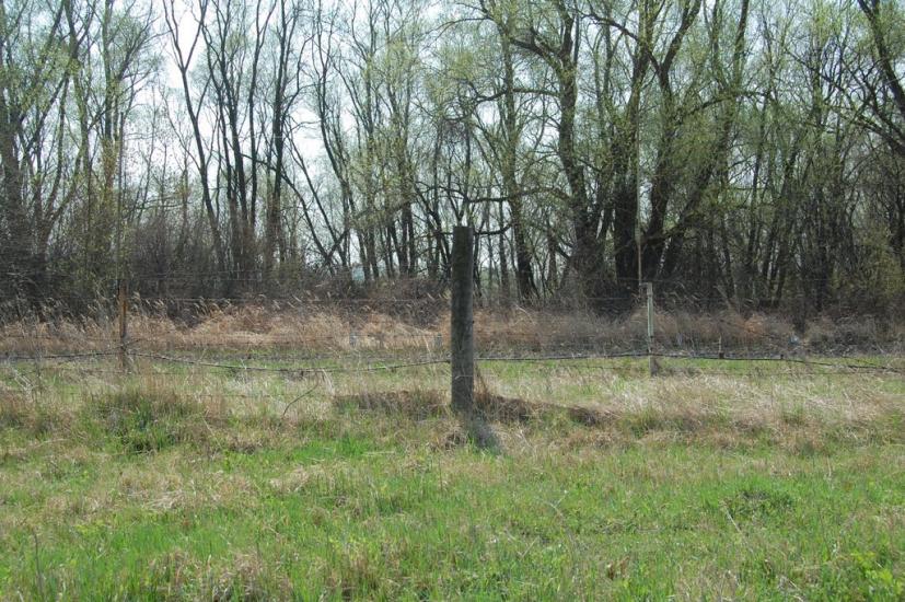 Мамалига з panoramio.com - Мамалыга