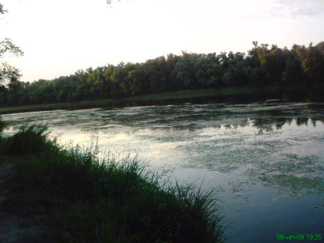Великий Суходіл з panoramio.com - Великий Суходол