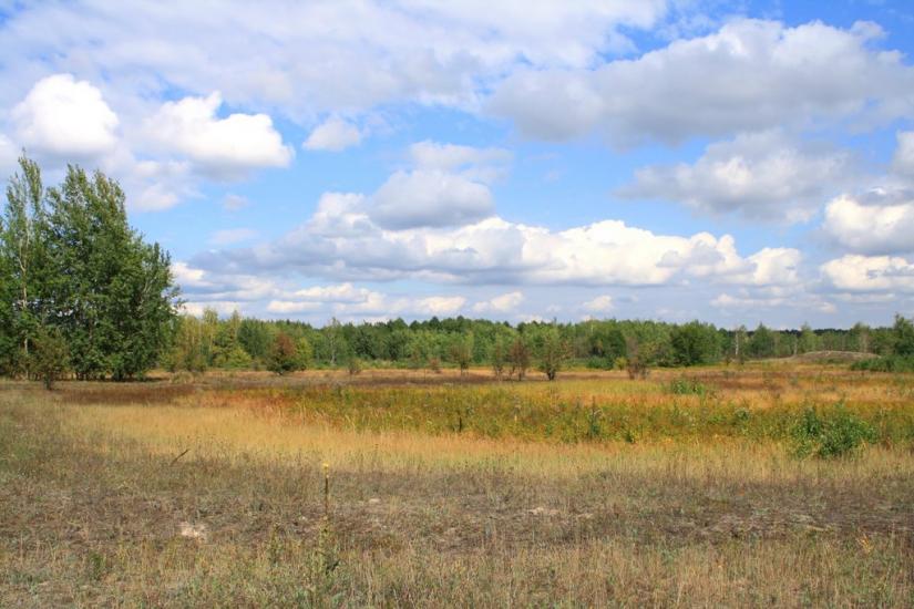 Малинівка з panoramio.com - Malynivka