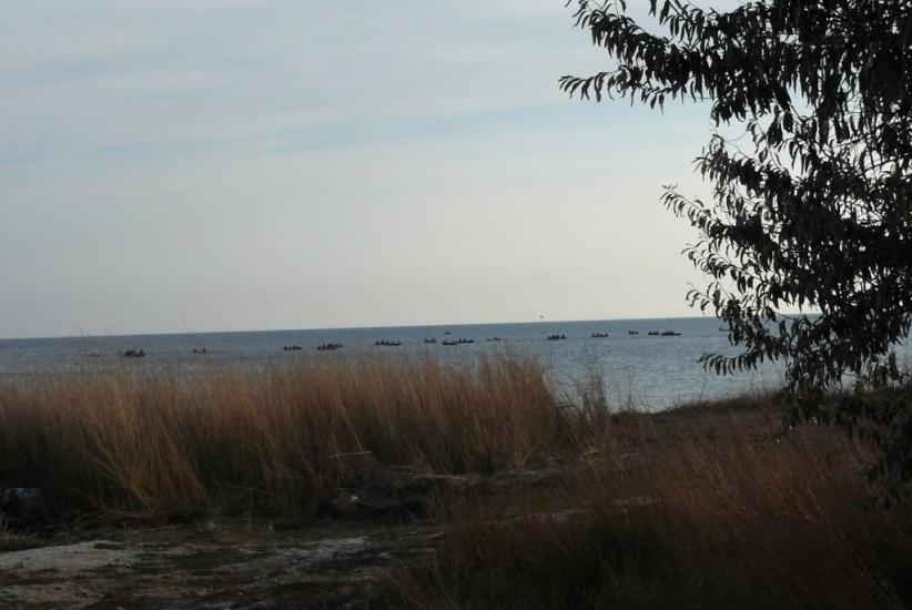 Войкове з panoramio.com - Войкове