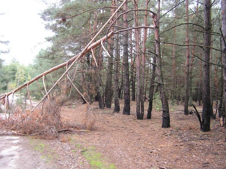 Глібівка з panoramio.com - Глебовка