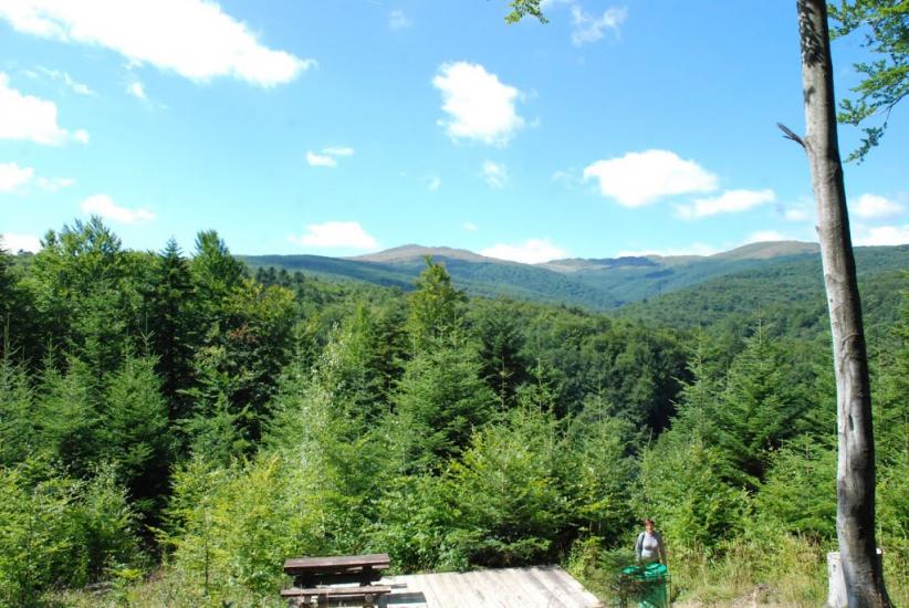 Шандровець з panoramio.com - Шандровец