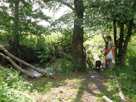 Кошівка з panoramio.com - Кошівка