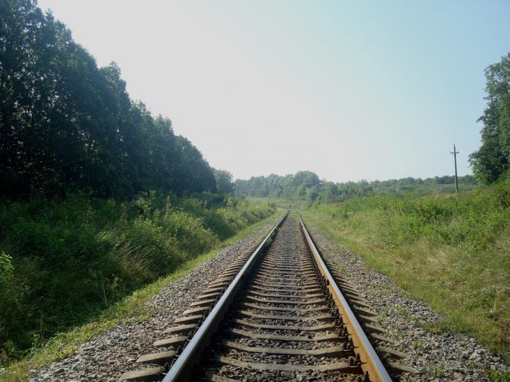 Панівці з panoramio.com - Panivtsi
