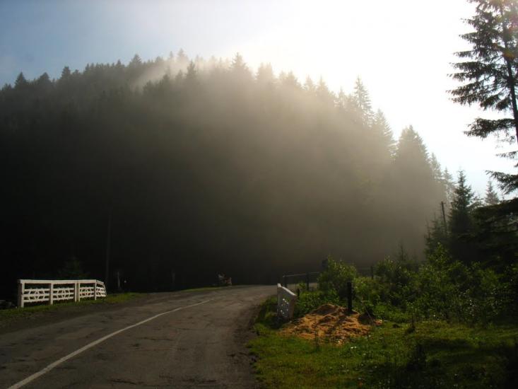 Стригальня з panoramio.com - Strygalnya