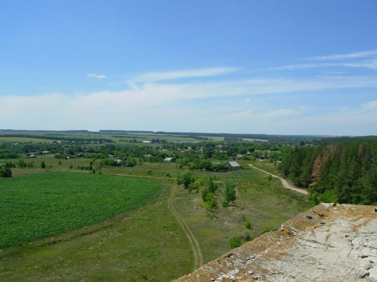 Бірки з panoramio.com - Борки