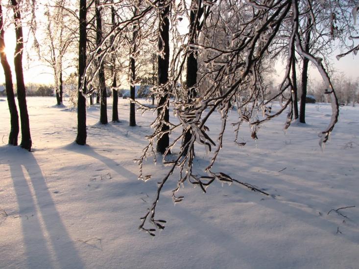 Кам'янка з panoramio.com - Кам'янка