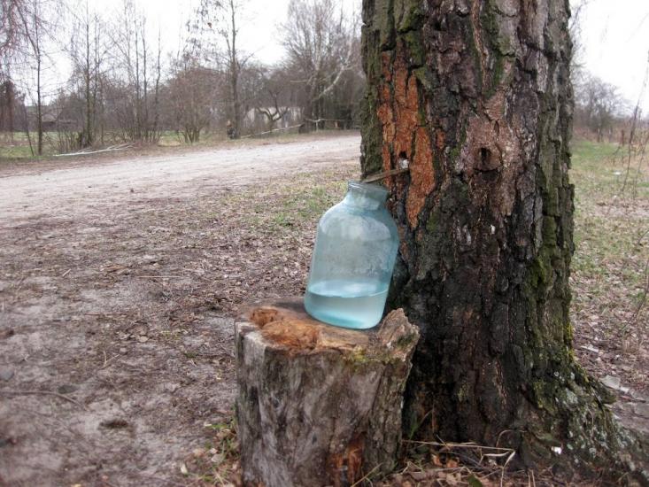 Угриничі з panoramio.com - Угриничі