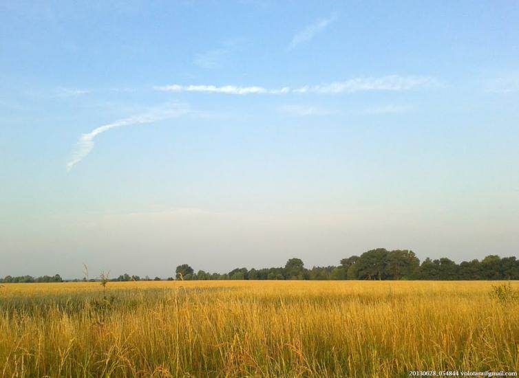 Бурківка з panoramio.com - Бурківка