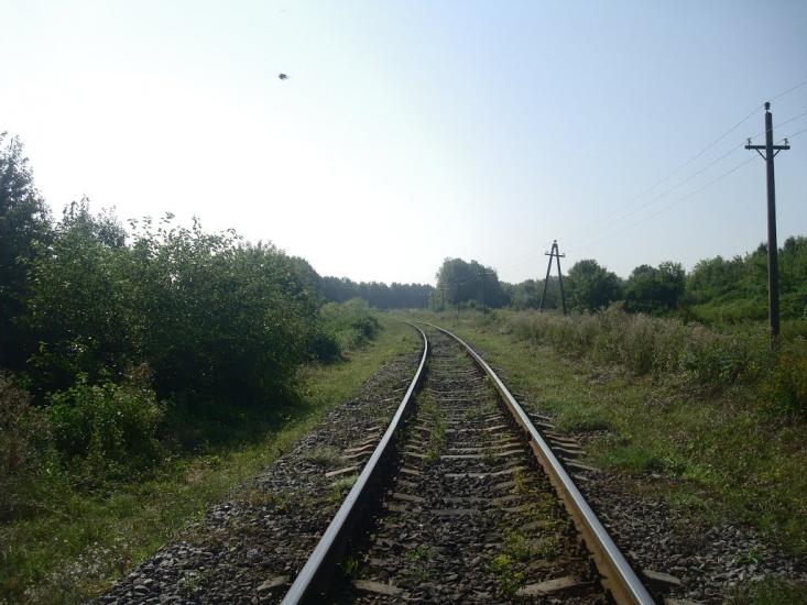 Панівці з panoramio.com - Panivtsi