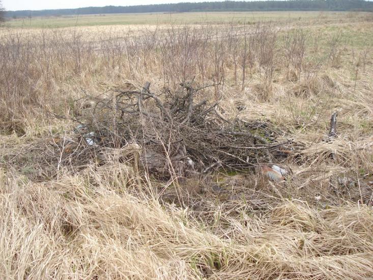 Ниговищі з panoramio.com - Ниговищи