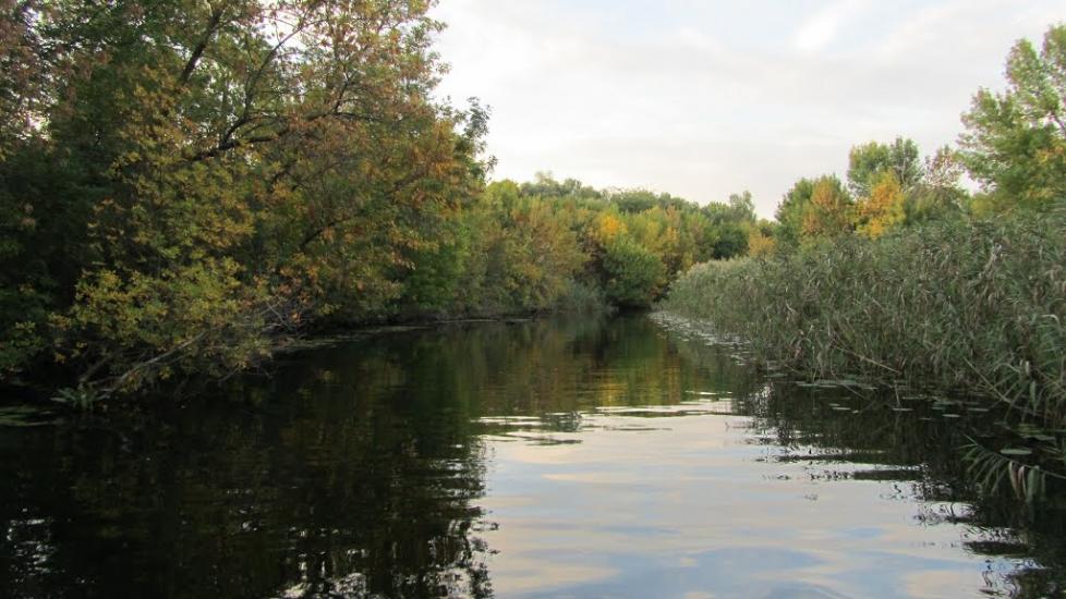 Кринки з panoramio.com - Кринки