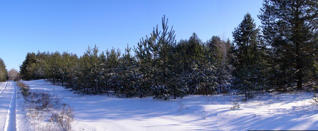 Воронове з panoramio.com - Вороново