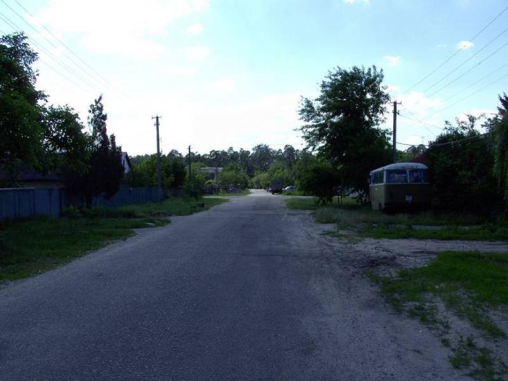 Проліски з panoramio.com - Prolisky
