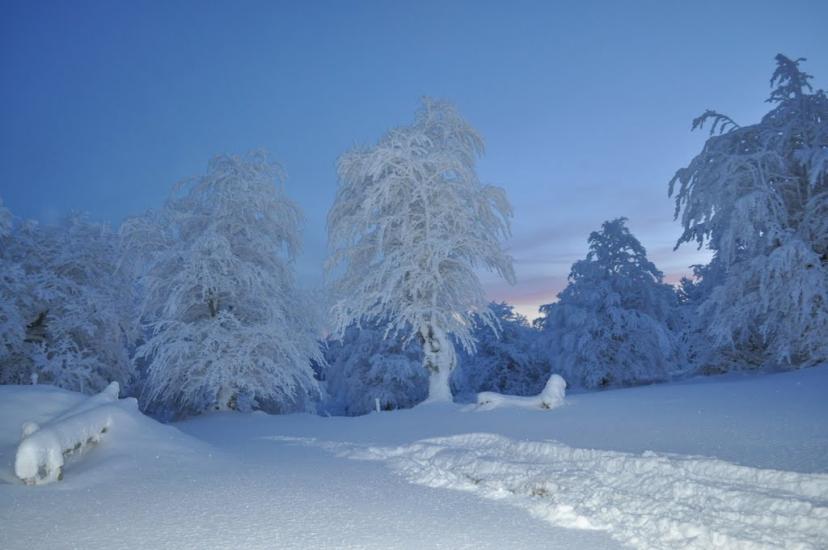 Білин з panoramio.com - Білин