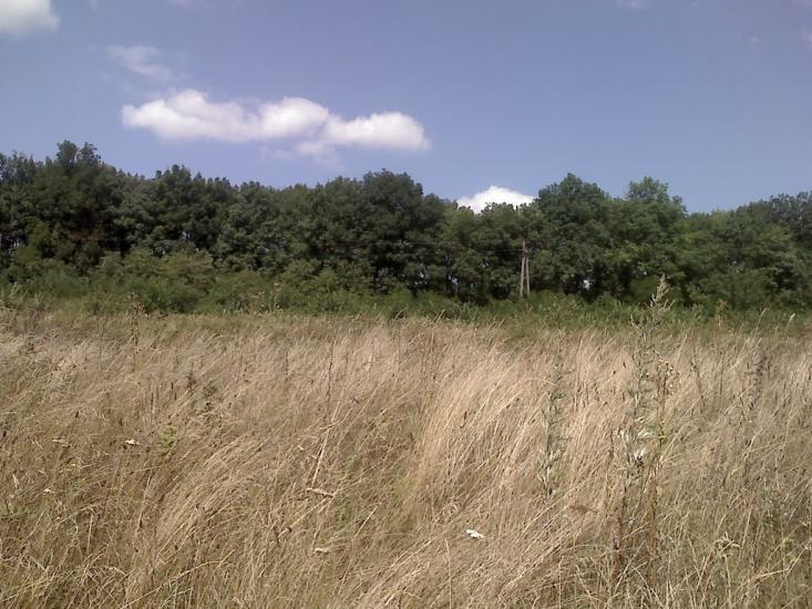 Губник з panoramio.com - Губник