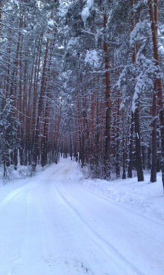 Задонецьке з panoramio.com - Zadonetske