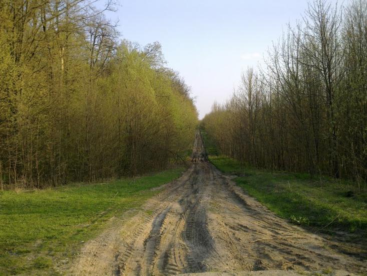 Давидківці з panoramio.com - Давыдковцы