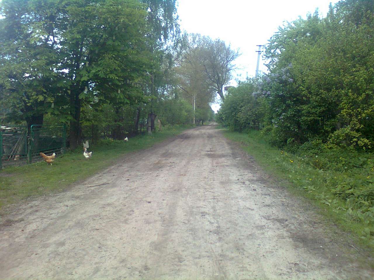 Мирин - Мирин