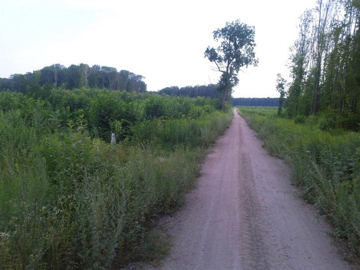 Іволжанське з panoramio.com - Иволжанское