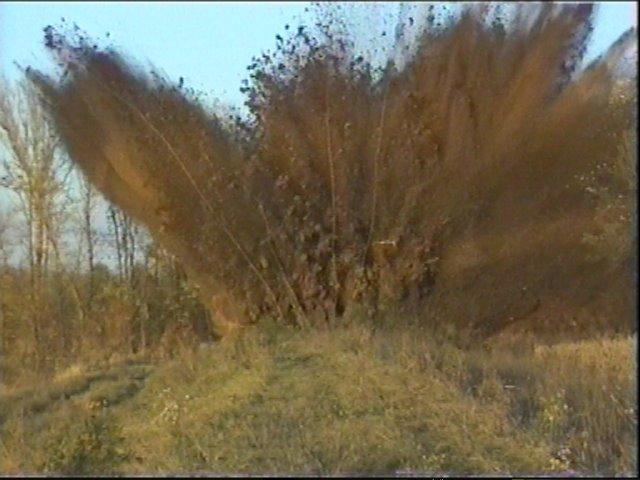Соловка з panoramio.com - Solovka