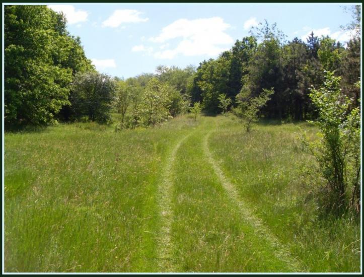 Доманівка з panoramio.com - Доманівка